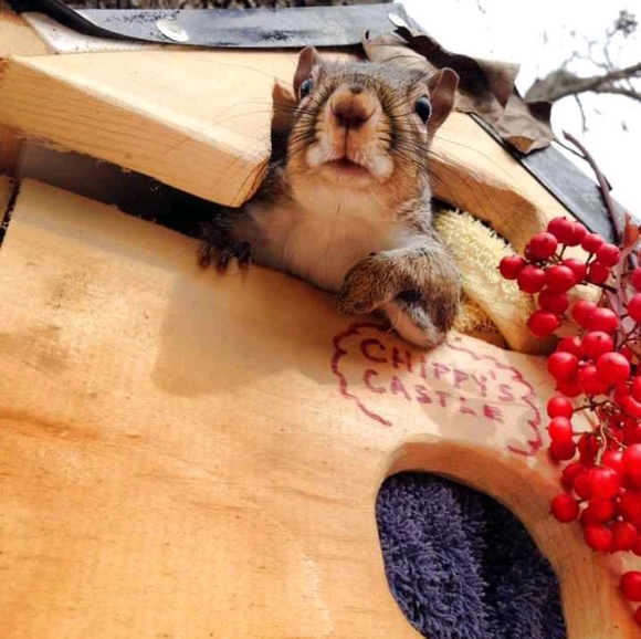 Meet your Posher, Mikat - Picture 2 of 6